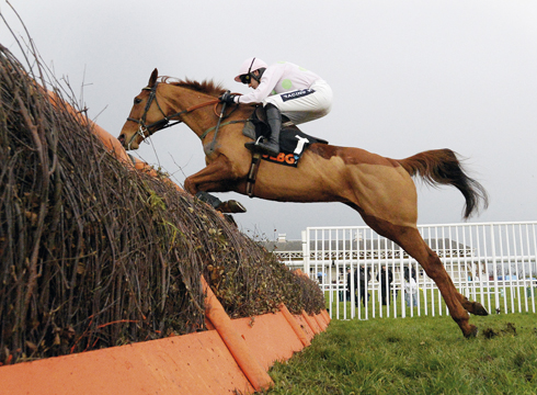 Cheltenham World Hurdle