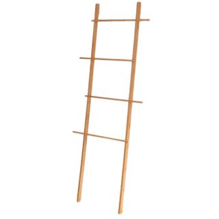 UO Levi Storage Ladder