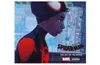 Spider-Man: Into the Spider-Verse - The Art of the Movie