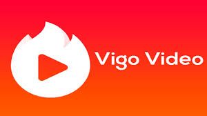 Vigo Video exits India