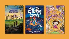 Book covers of Wildlands, When The Storm Comes and The Notwitches