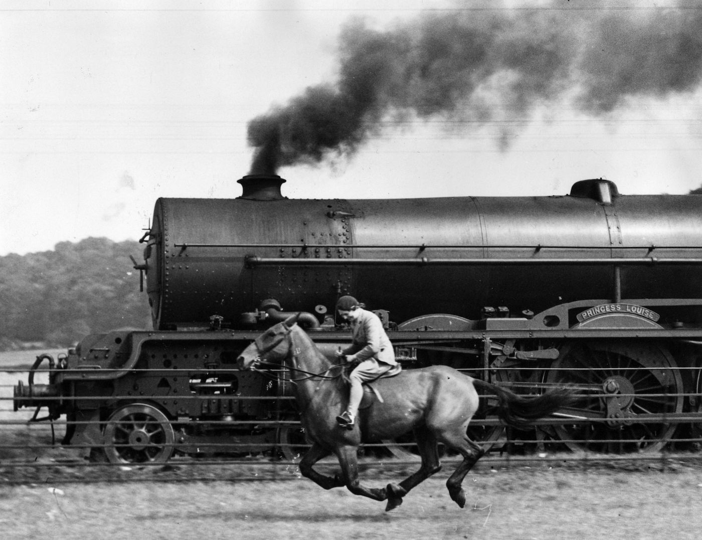 Steamy Steed