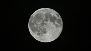 A detailed shot of a grey full moon is pictured against a black sky, sporting bright craters and dark features known as lunar maria. 
