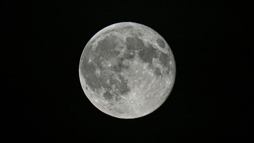 A detailed shot of a grey full moon is pictured against a black sky, sporting bright craters and dark features known as lunar maria. 