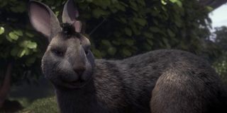 John Boyega in Watership Down