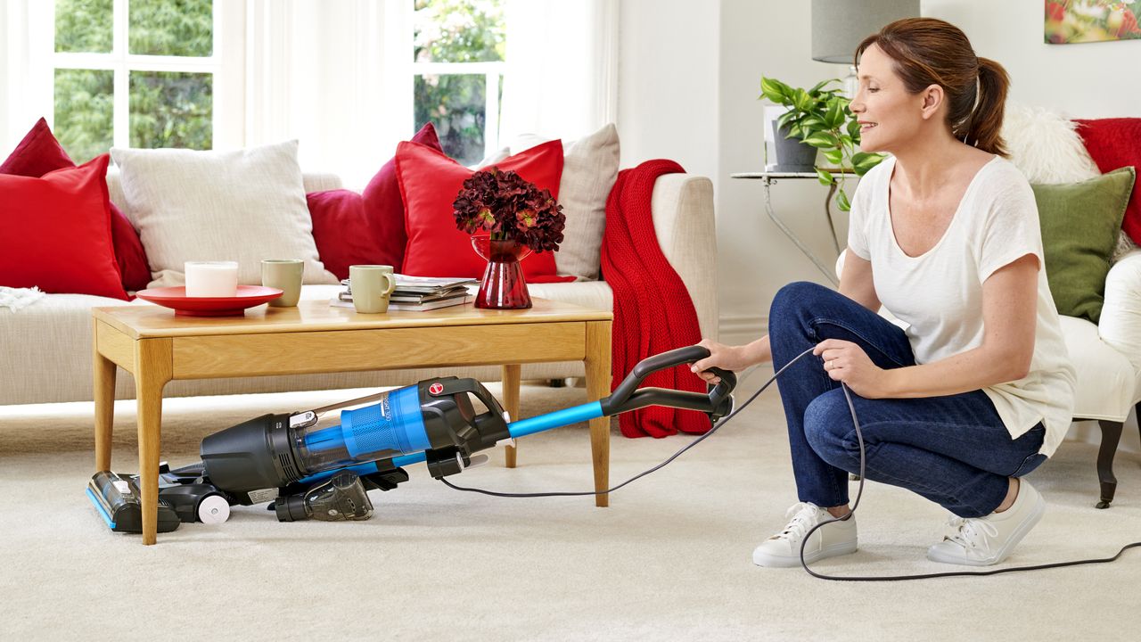 Hoover H-Upright 300 Pets