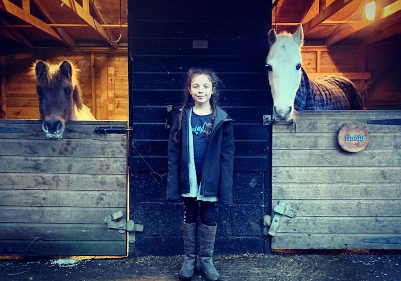 Riding school Captain Sir Tom