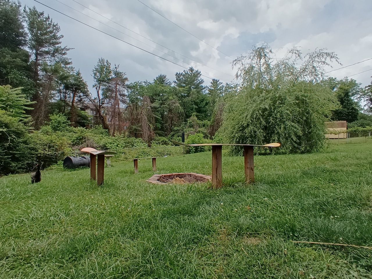 Grassy area