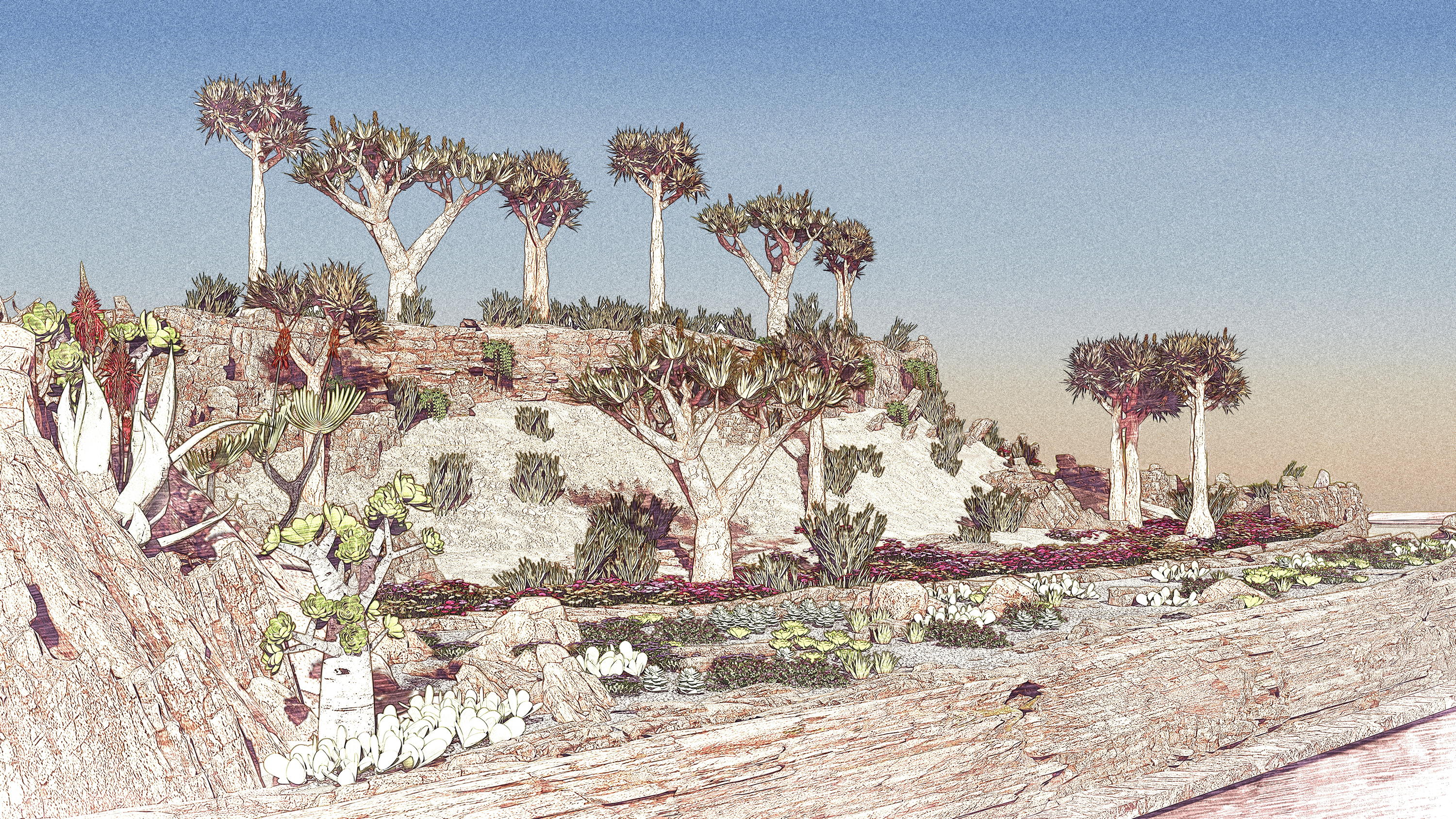 Chelsea Flower Show preview 2025