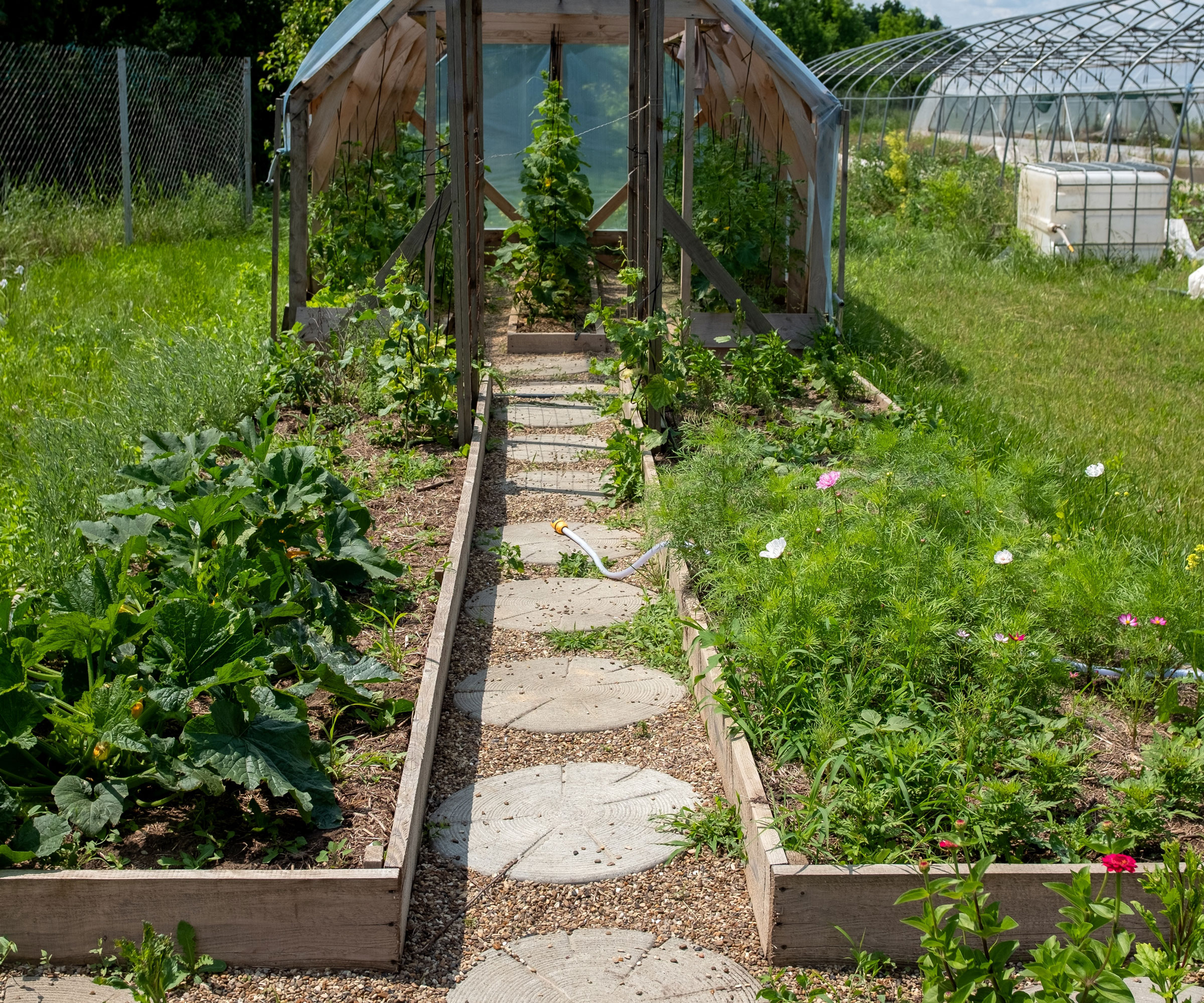 stepping stone pathway between raised beds