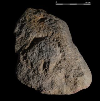 A carved vulva found at Abri Castanet