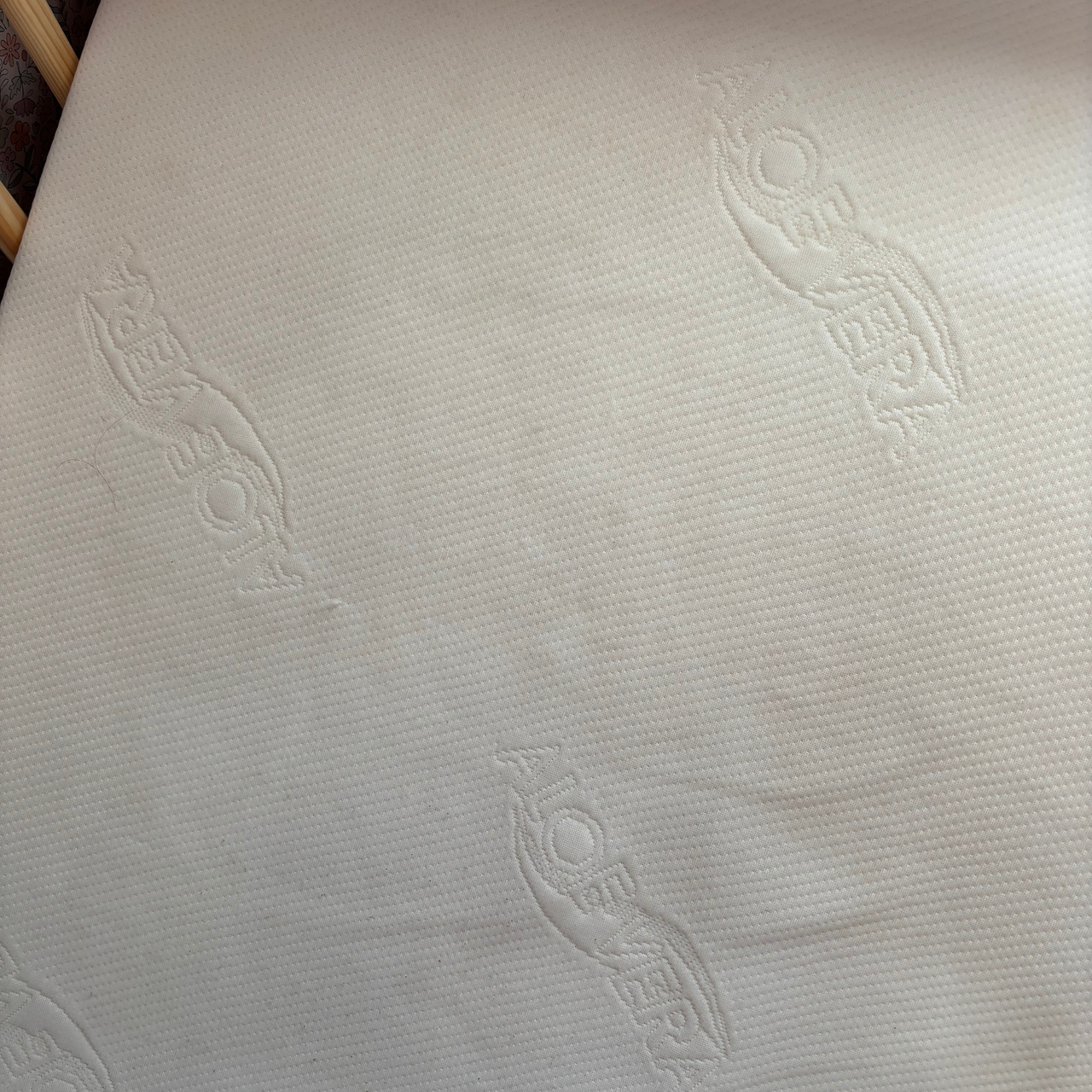 mattress before and after using Rug Doctor Deep Upright Carpet Cleaner