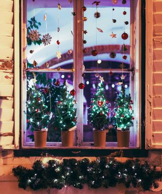 potted small christmas trees with lights along windowsill