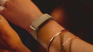 photos of the Fitbit air with metal mesh band