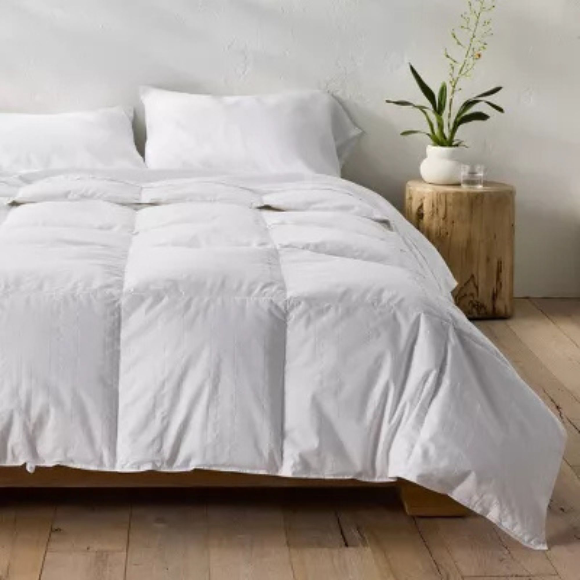 Casaluna Premium Down Comforter on a bed. 