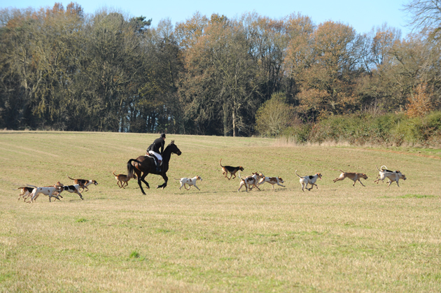 Puckeridge Hunt 06 12 2014