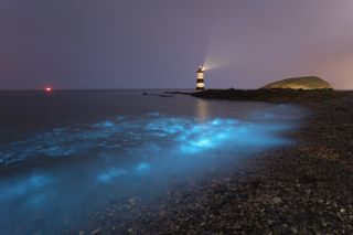 Penmon Point, Anglesey