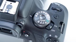 Canon EOS 2000D / Rebel T7 Review - Amateur Photographer