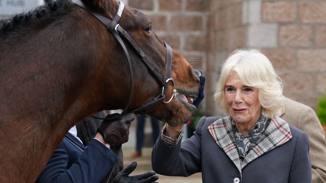 Queen Consort Camilla&#039;s autumnal scarf