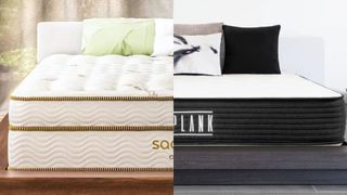 Queen Saatva Classic in plush vs Plank Firm Mattress