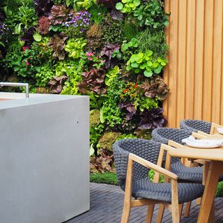 vertical garden area with table and chair