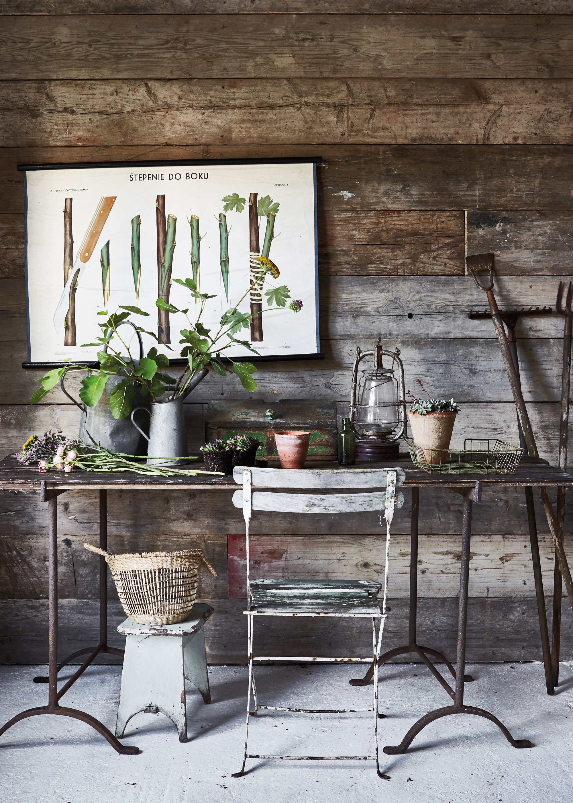 Wooden shed interior with salvaged trestle table and botanical print on the wall