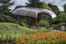 Carbon Garden at Kew Gardens, with mushroom shaped pavilion among flowers