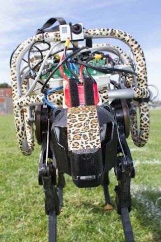 The cheetah robot is powered by onboard electrical motors.