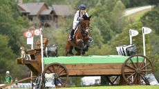 Arctic Soul dies: the ex-racehorse won world team gold in 2018