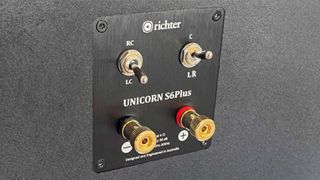 Richter's Unicorn loudspeakers
