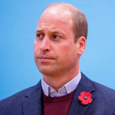 Prince William mental health 