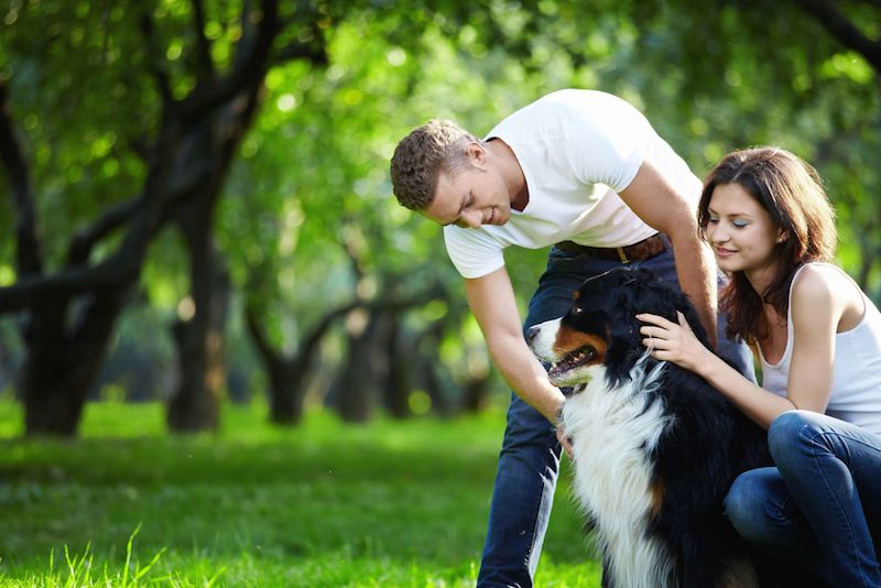 dog with man and woman