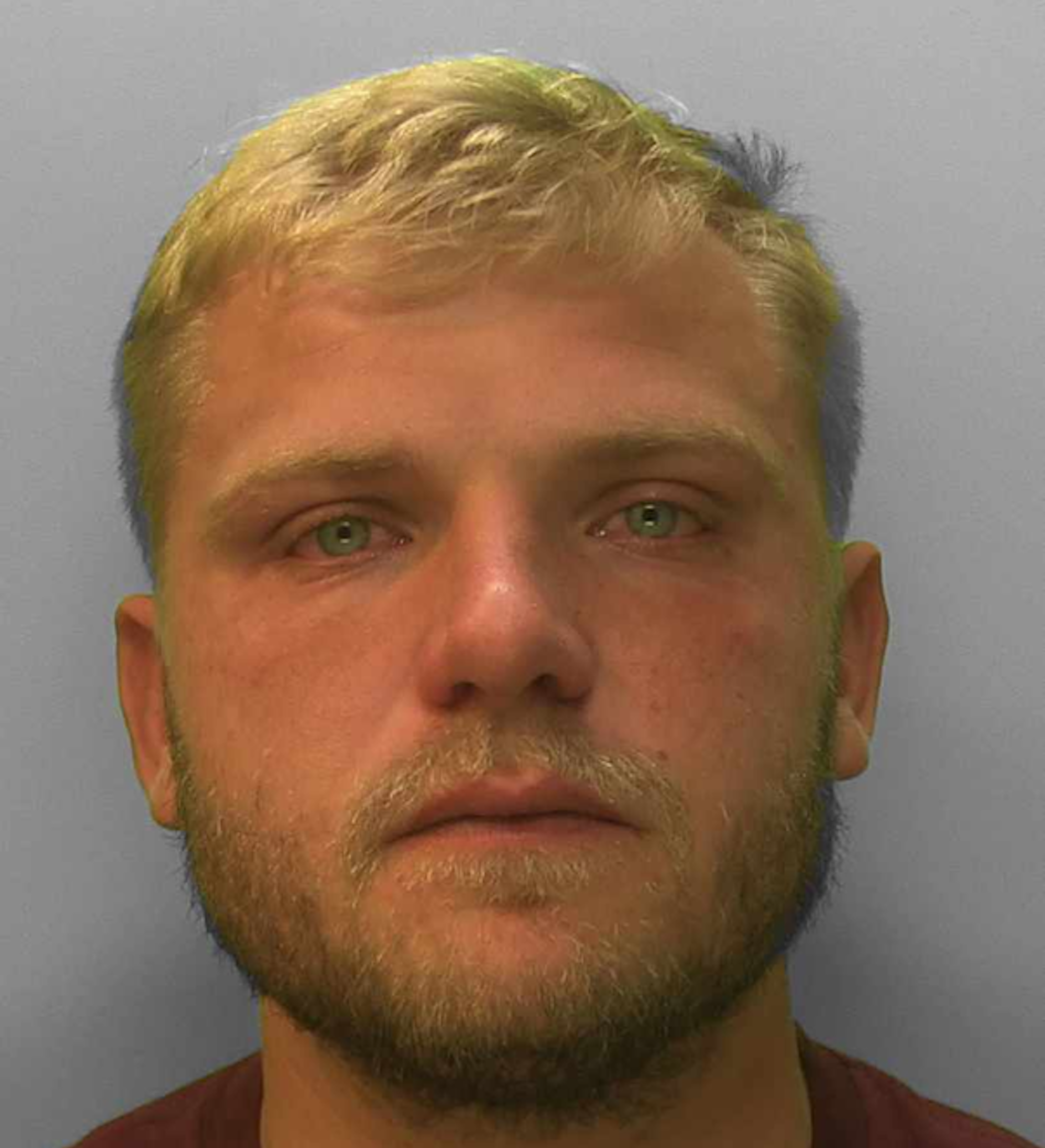 Ryan Dinnage mugshot