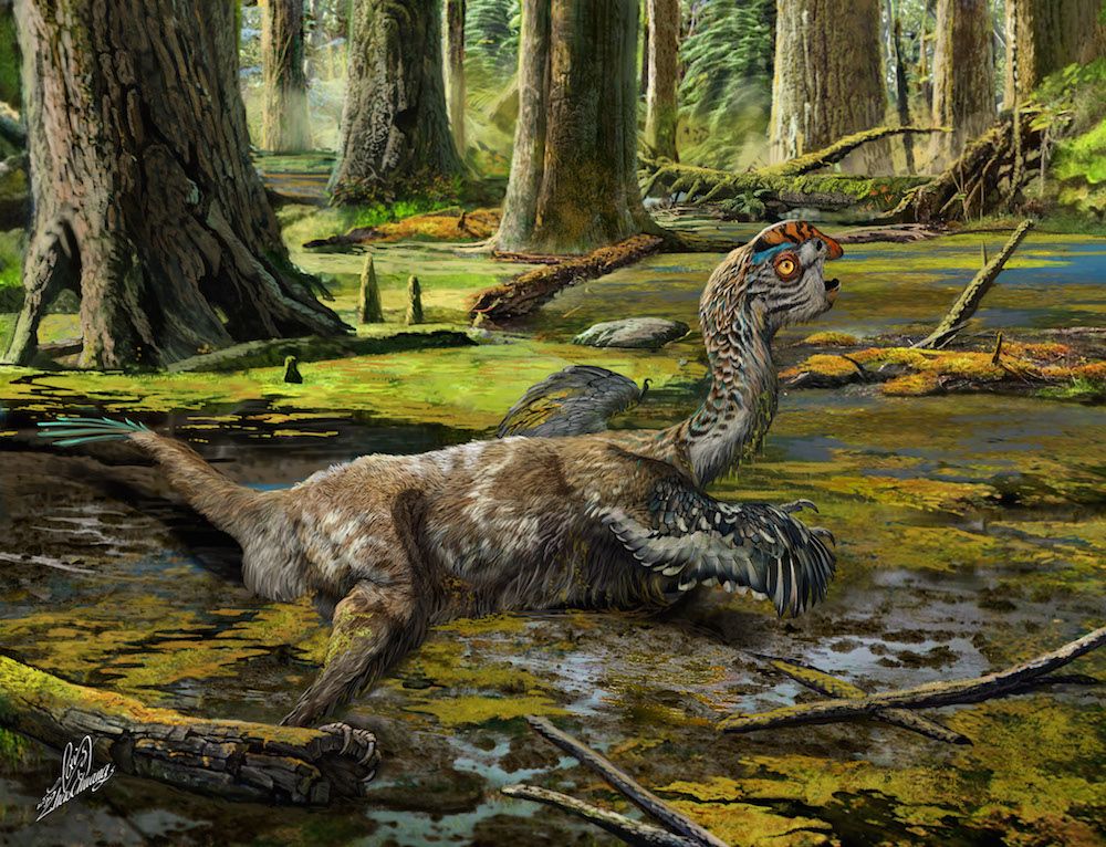 Tongtianlong limosus dinosaur