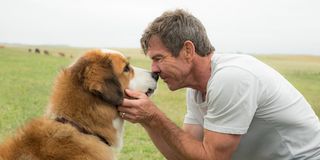 A Dog's Purpose