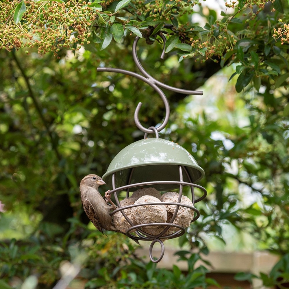 Satellite Fat Ball Feeder - Crocus Green