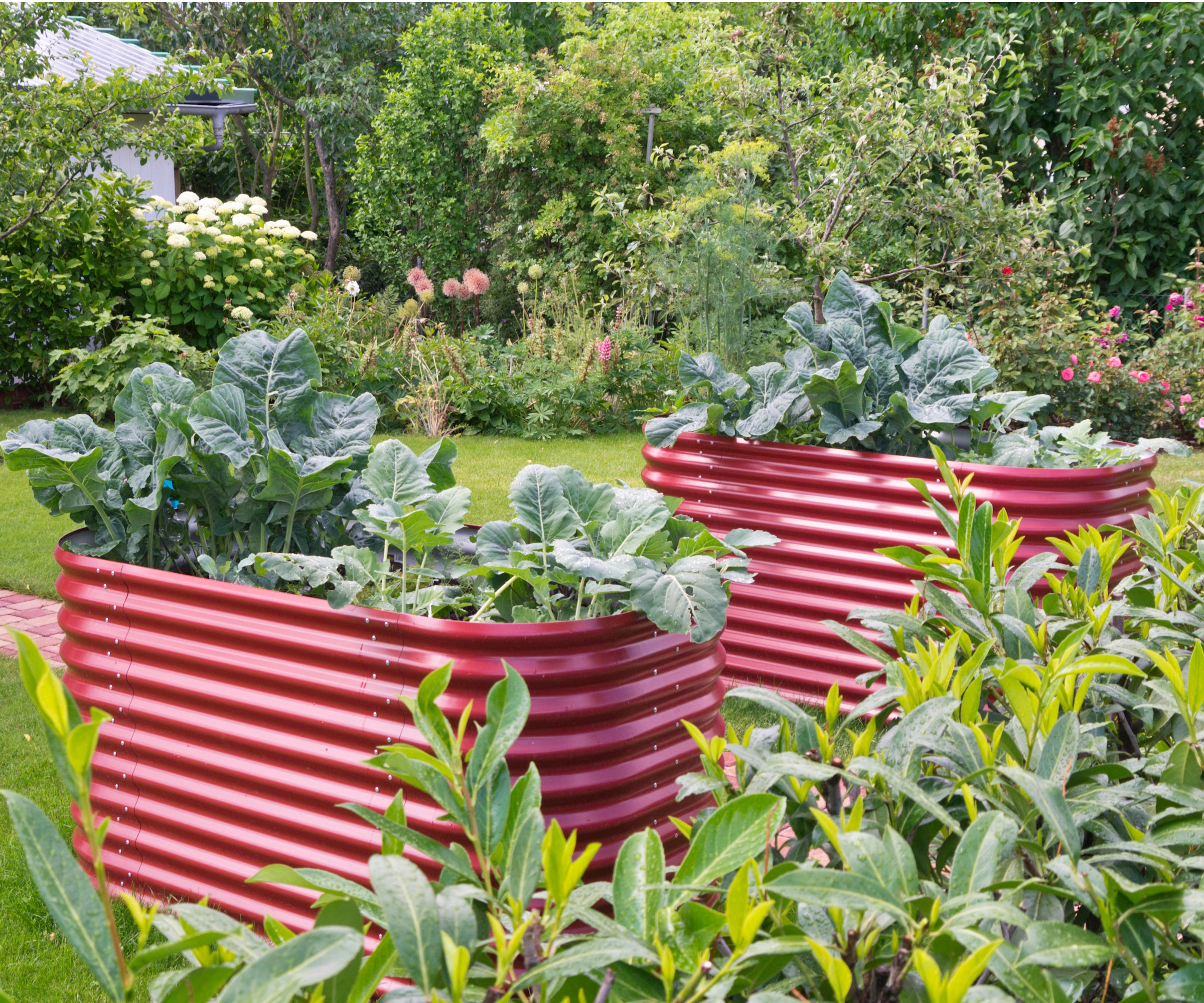 Red metal raised garden beds