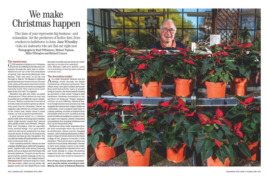 Spreads from Country Life 10 December 2025