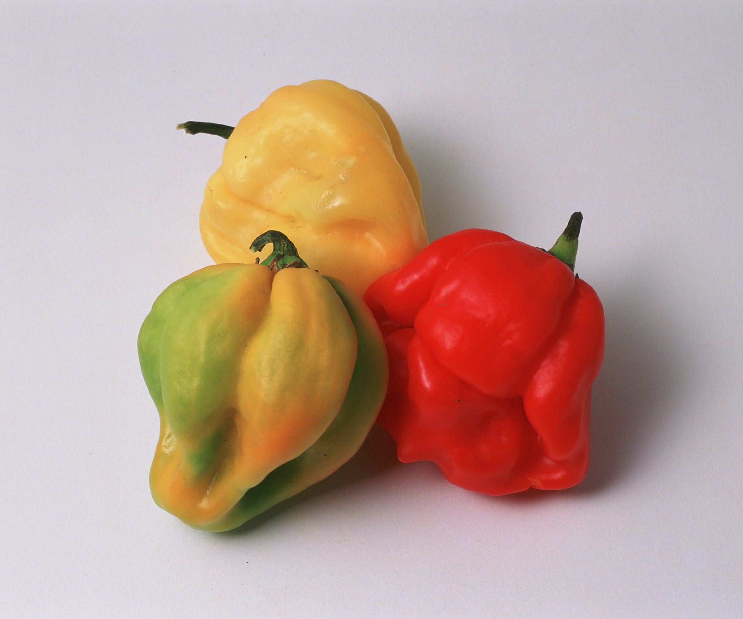 Red, green, and yellow Scotch bonnet chillies on a white background