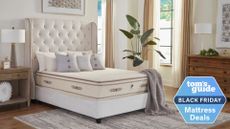 The PlushBeds Botanical Bliss mattress on a bed frame in a large bedroom