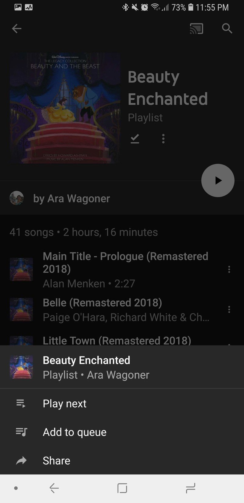 Downloaded playlist options