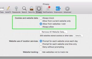 safari extension block cookies