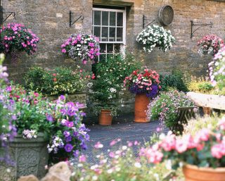 container gardening ideas: petunias in pots and hanging baskets on patio