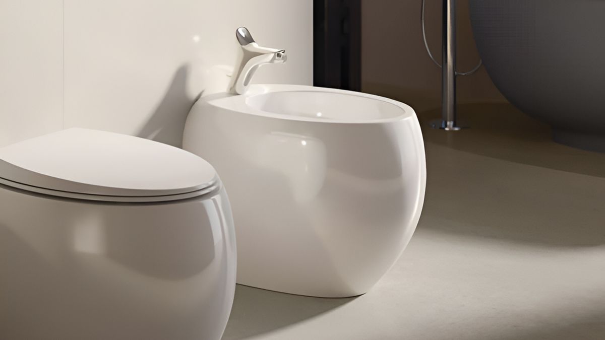 What is a bidet and does your bathroom need one?