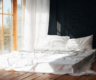 A mattress on the floor by a window.