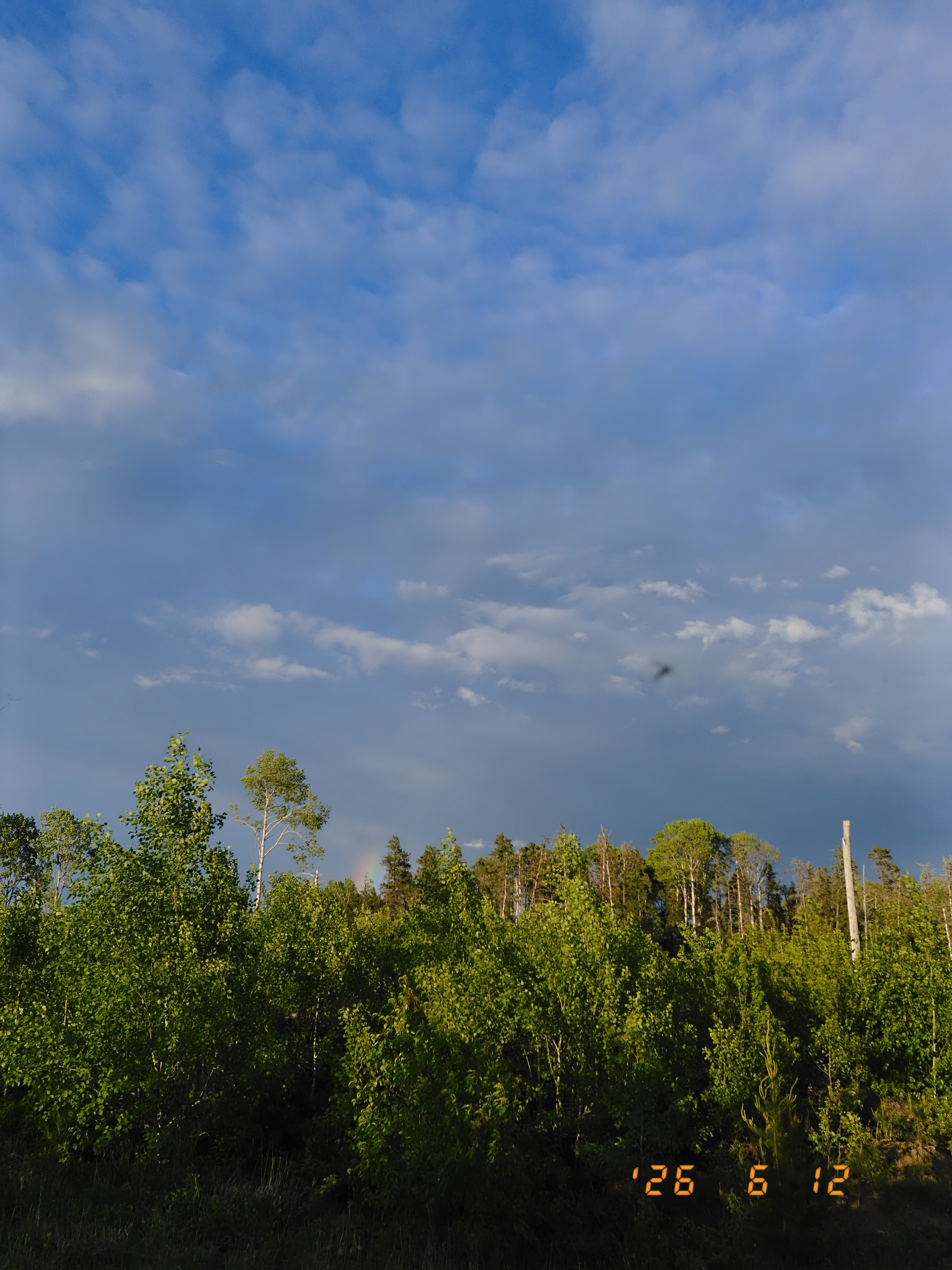 Sample images taken with the Fujifilm X Half