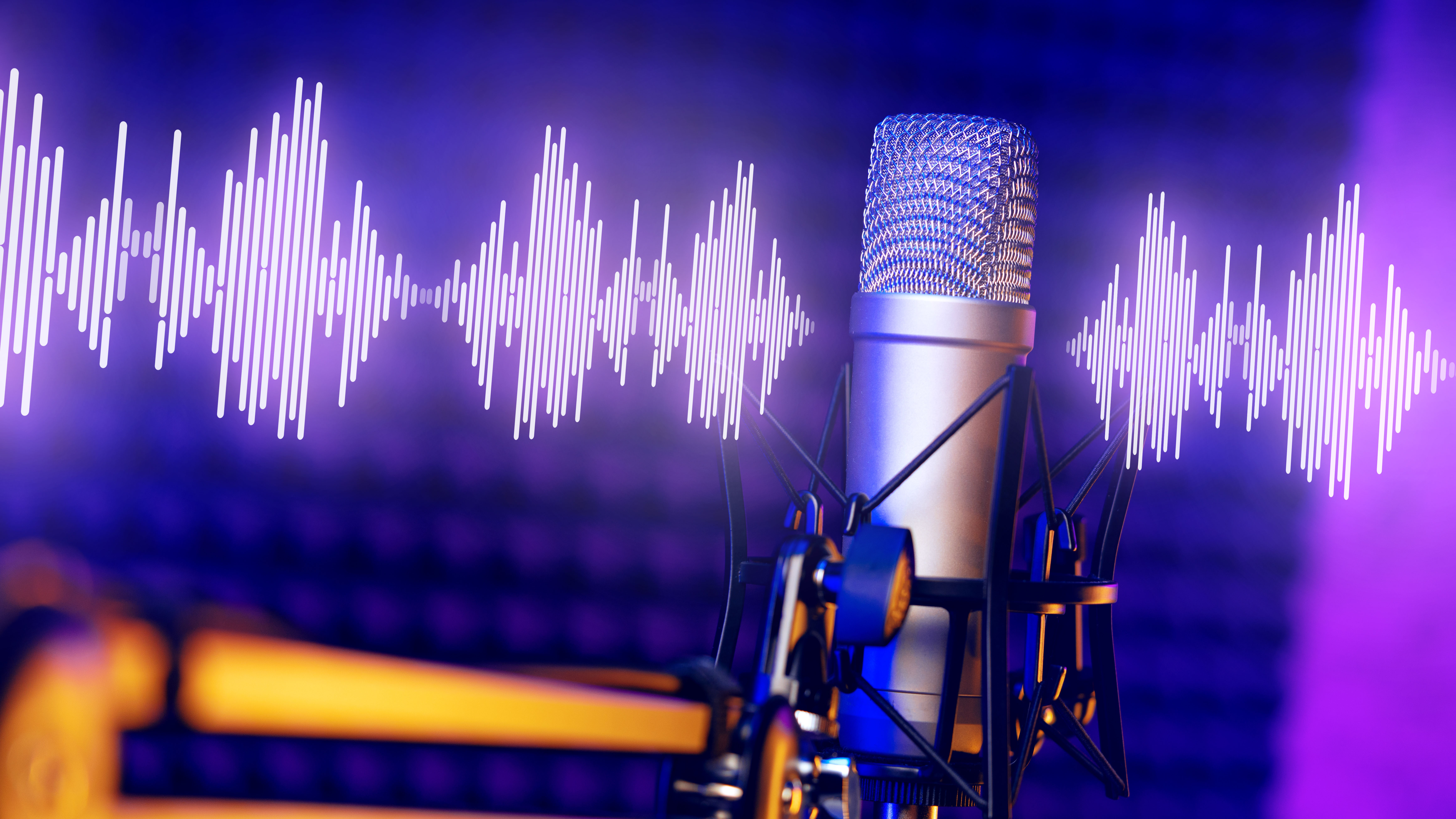 Microphone and waveform.