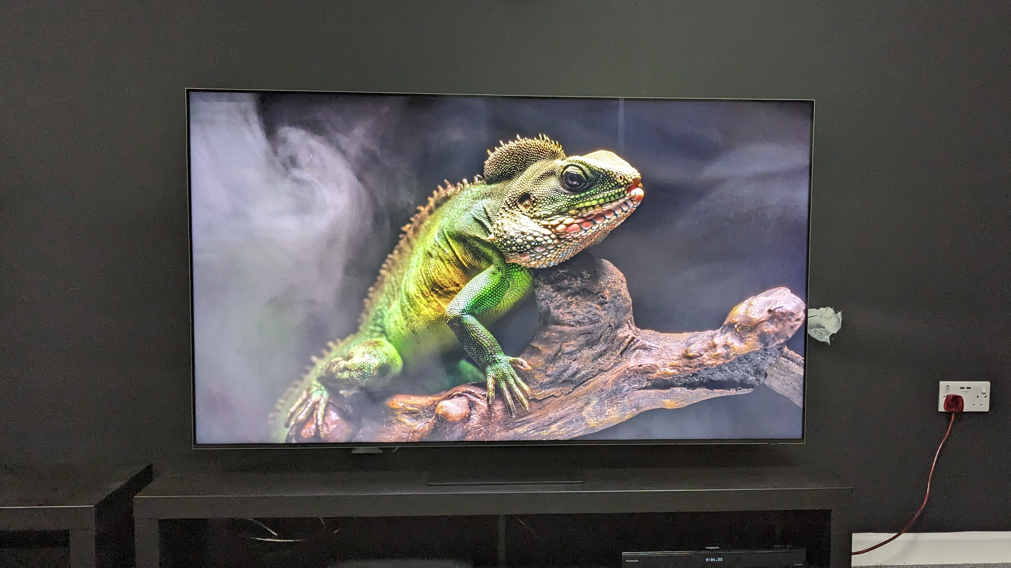 Samsung QN800D with reptile on screen