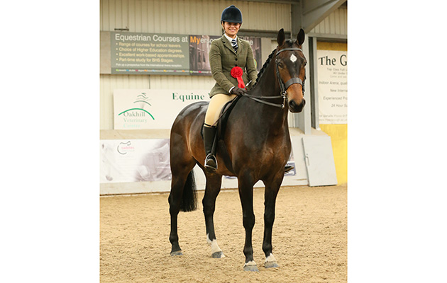 Small Hunter class winner 17: HARTBEAT&amp;#8232;R: Rebecca Patterson