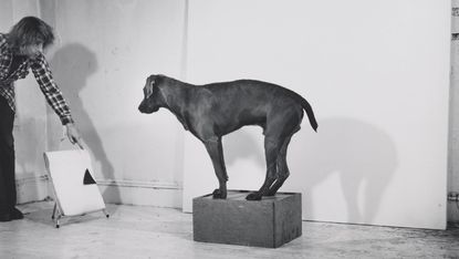 A man interacting with a dog stood on a small upturned box